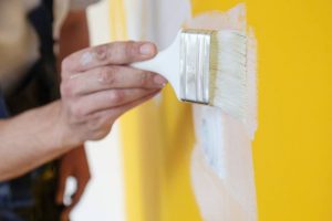 Reasons to Hire Interior House Painters