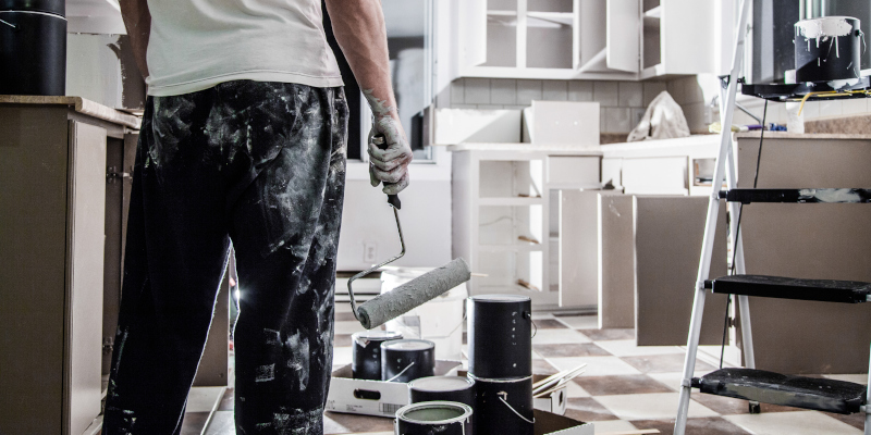 Interior House Painters in Bella Casa, North Carolina